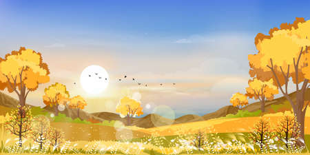 Autumn landscape wonderland forest with grass land, Mid autumn natural in orange foliage, Fall season with beautiful panoramic view with sunset behind mountain and maples leaves falling from treesのイラスト素材
