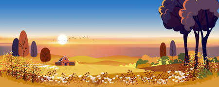 Autumn landscape in countryside with harvest field and farmhouse on hills, Rural nature in Fall season at village with orange field on mountains in evening with sunset, Vector Mid autumn backgroundのイラスト素材