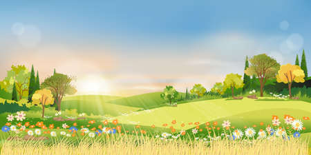 Autumn landscape wonderland forest with grass land, Mid autumn natural in orange foliage, Fall season with beautiful panoramic view with sunset behind mountain and maples leaves falling from trees parkのイラスト素材