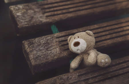 Lost teddy bear lying on wooden bridge at playground in gloomy day, Lonely and sad face brown bear...
