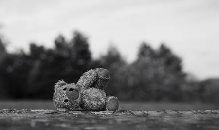 Lost Teddy bear with sad face lying on footpath with blurry background,Lonely bear doll laying down on the brick floor in gloomy day,lost toy or Loneliness concept, International missing children'dayの写真素材