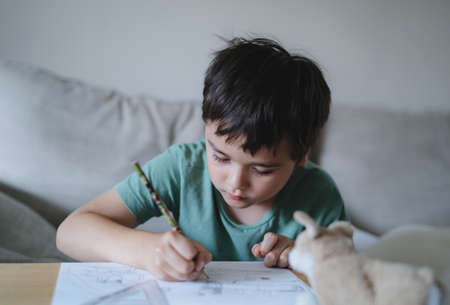 Portrait of school kid siting on table doing homework, Child boy holding pencil writing on paper, Homeschooling , back to school conceptの写真素材