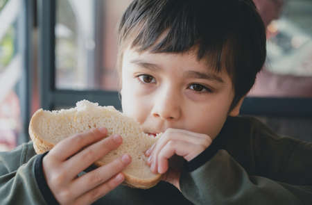 Portrait healthy young boy eating bacon sandwich, School Kid having breakfast in the cafe be for go to school, Child bitting toast sandwich beef cheddar cheese for lunch.の写真素材