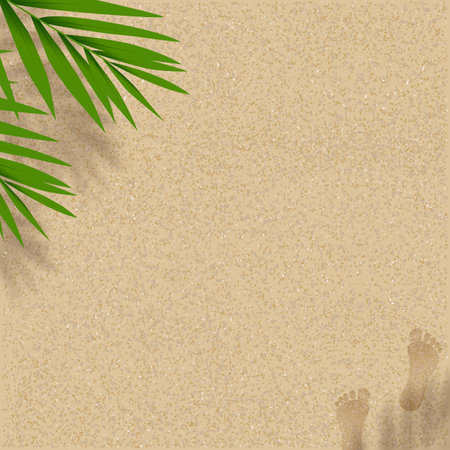 Sandy Beach Texture background with Coconut Palm leaves shadow and Footprints,Vector horizon Backdrop background with barefoot and tropical leaf silhouette on Brown Beach sand dune for Summer beachのイラスト素材