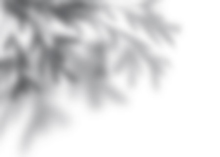 Silhouette Leaves Shadow on white background, Illustration isolated transparent of Shadow leaf overlay on Wall,Concept for elements design decoration for Spring, Summer Backdrop Backgroundの写真素材