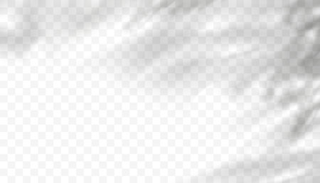 Leaves shadow overlay, isolated Tropical Branches leaves&#x9;のイラスト素材