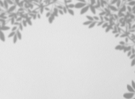 Leaves shadow overlay on grey cement wall texture background,Empty White Studio background with tropical branches leaves on concrete surface floor,Backdrop display for product presentationの写真素材