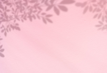 Pink Studio background with Leaves shadow on cement wall texture,Product Display room with branches leaves overlay on Pink pastel Concrete wall,Backdrop Banner for natural cosmetic  productの写真素材