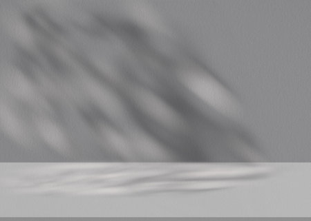 Studio background,Leaves shadow with sunlight reflection on grey concrete wall background,Empty Studio Room with abstract light on Cement floor,Backdrop display for product presentationの写真素材