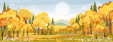 Autumn landscape scenery with morning sky and cloud over forest trees with fall leaves,Vector banner wonderful picturesque background with yellow foliage,Cartoon Colour Nature Fall season backgroundのイラスト素材