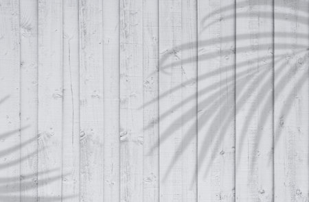 Leaves Shadow on White Wood Texture of Table Top background, Washed Old wooden texture with Palm leaves shadow,Wood fence striped surface with sunlight,Backdrop Banner for Product Display presentationの写真素材
