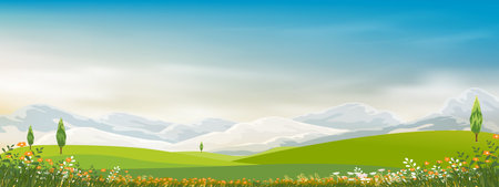 Spring Background with Green Grass Field Landscape with Mountain,Blue Sky and Clouds,Panorama Summer rural nature in with grass land on hill.Cartoon Vector illustration backdrop bannerのイラスト素材