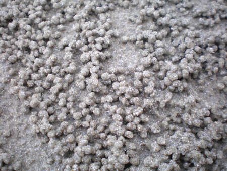 sea sand circle shape by natureの写真素材