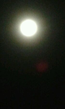 The shiny moon in the skyの素材