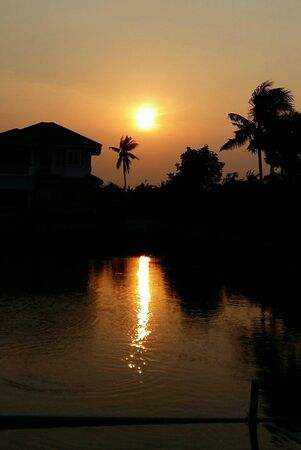 The sunsetの素材