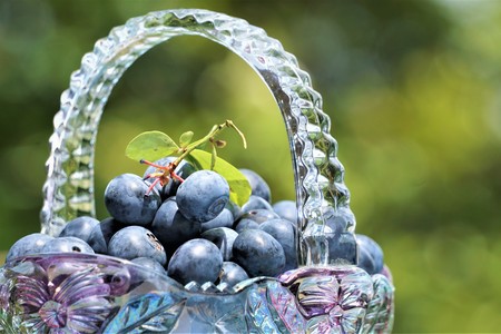 A tiny beautiful crystal basket of Blueberries on the soft focus of green garden background, Spring in GA USA.の写真素材