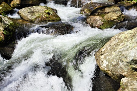 The beautiful view of Anna Ruby Falls in the wintertime with forest as the background,Helen GA USA.の写真素材