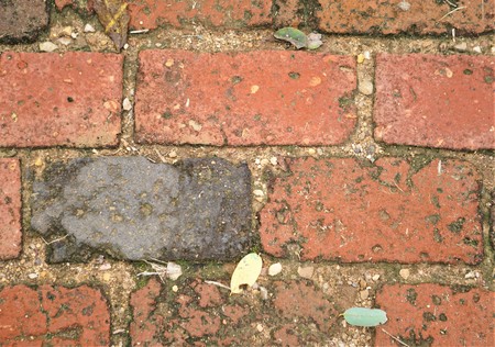 Old red brick wall background, Autumn in VA USA.の写真素材