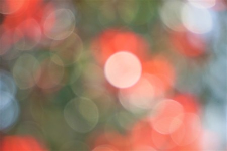 Pretty colorful bokeh background from natural green and red leaves of the tree, Winter in GA USA.の写真素材