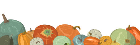 Background of orange autumn pumpkins. Pumpkins of different sizes on white background. Elements for autumn decorative design, autumn holiday invitation, harvest thanksgiving.の写真素材