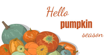 Composition with autumn pumpkins. Template with pumpkins. Greeting card, invitation card, flyer, banner, poster template.の写真素材