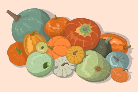 Autumn composition with pumpkins on white background. Cartoon illustration of the pumpkin harvest.の写真素材