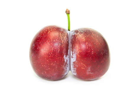 Fresh ripe natural twinned plum isolated on white backgroundの写真素材