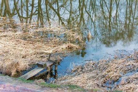 Old wooden fishing trap in the lake in springの写真素材