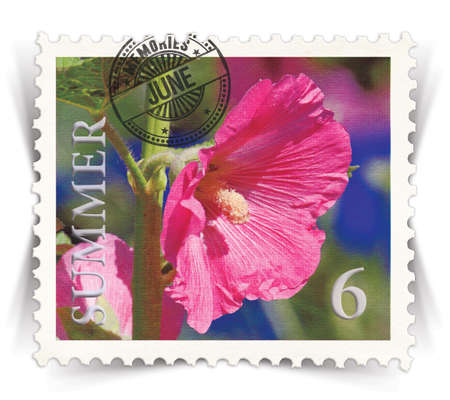 Label for seasonal products ads or calendars stylized as vintage post stamp (June - 6 of 12 set) の写真素材
