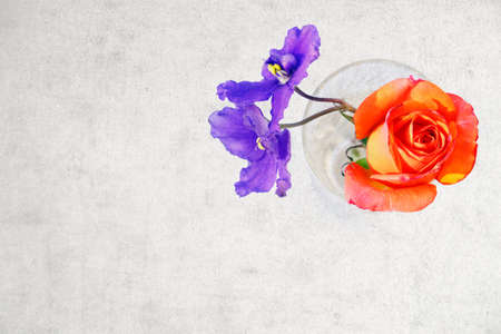 Rose and violet flowers in crystal glass with copy space on grange backgroundの写真素材
