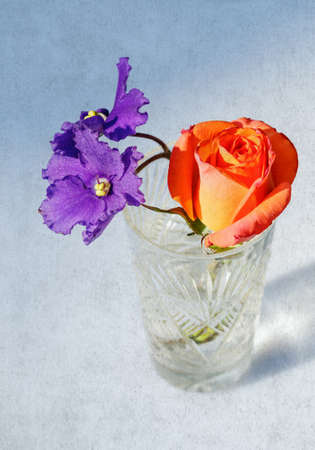 Rose and violet flowers in crystal glass on grange backgroundの写真素材