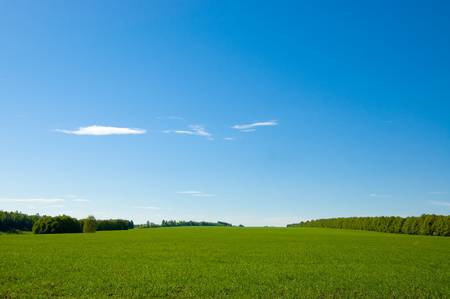 Landscape with the blue sky and a spring field. Fine background for the further workの写真素材