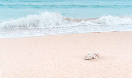 Beach in Bali Island