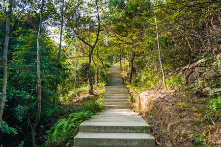 Park ladder