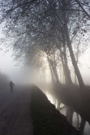 person exercising by the canal with the fog of dawn between the treesの写真素材