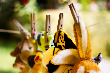 Teddies to dry with pirate stuffed animal in the centerの写真素材