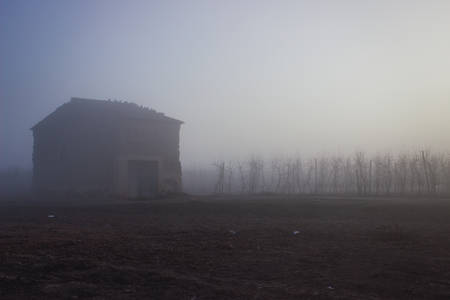 sunrise in a cottage with fruit trees a foggy morningの写真素材
