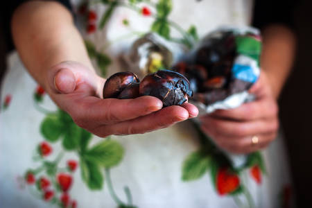 girl hand offering hot chestnutsの写真素材