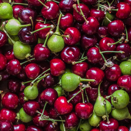 Close-up of Cherries and Mini Pears. Food conceptの写真素材