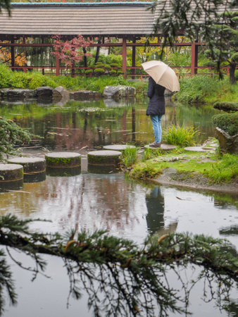 Stone path in a Japanese water garden with woman with umbrella. A bridge in a Japanese garden during the fall season.の写真素材