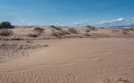 Lonely beach in the delta del ebro, tarragona, spain. The day is cloudy and windy. Natural beach concept.の写真素材