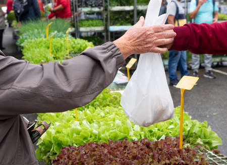 Older woman buying vegetables at a market,. Market conceptの写真素材