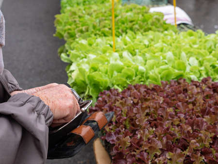 Older woman paying for a purchase of vegetables in a market, Market concept.の写真素材