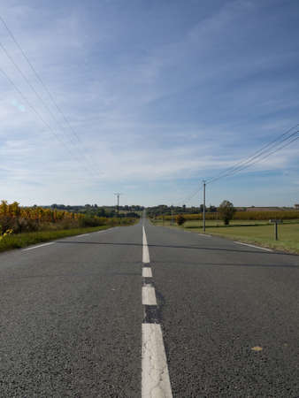 Asphalt road and forest with sky clouds landscape at sunset