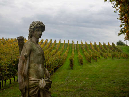 Statue of an archer on a background of vineyards in the Saint Emilion region. France. It is one of the main red wine areas of Bordeaux and a very popular tourist destinationの写真素材