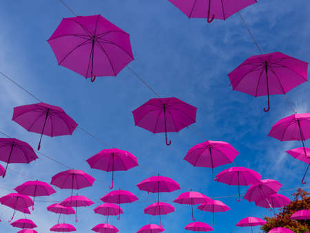 Pink umbrellas to support Breast Cancer Awareness. Cancer concept.の写真素材