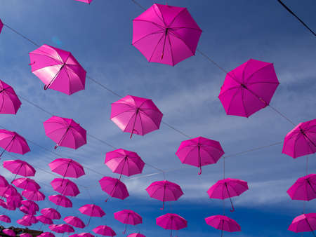 Pink umbrellas to support Breast Cancer Awareness. Cancer concept.の写真素材