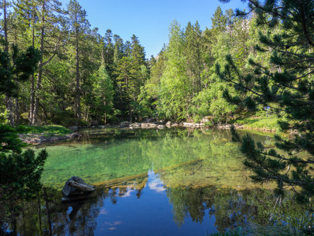 Small lake in Aiguestortes and Estany Sant Maurici National Park, in the Catalan Pyrenees, Spainの写真素材
