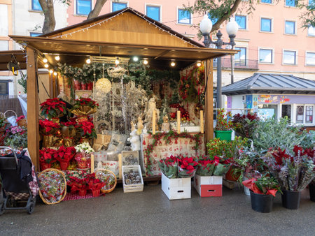 A lot of Poinsettia and Christmas trees in the market. Traditional Christmas decorations. selective focus natural lightの写真素材
