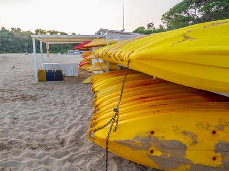 Surfboards for rent at the surf club. Many different surfboards on the beach, water sport, happy active summer vacations in Catalonia, Spain.の写真素材